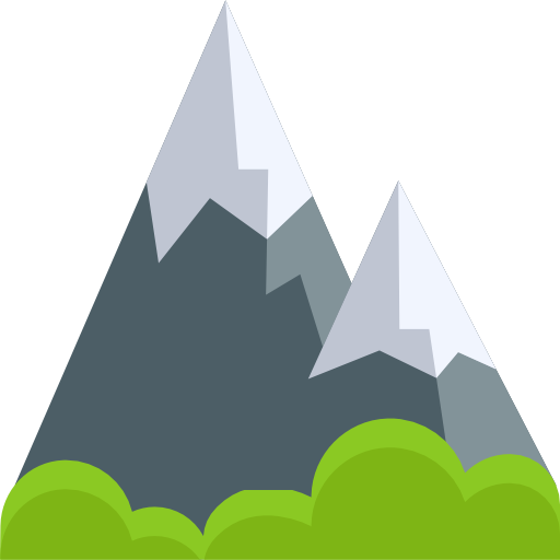 Scroll Top